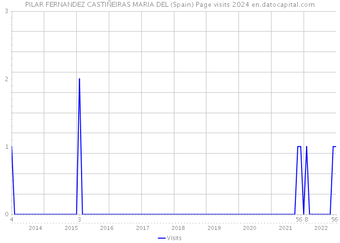 PILAR FERNANDEZ CASTIÑEIRAS MARIA DEL (Spain) Page visits 2024 