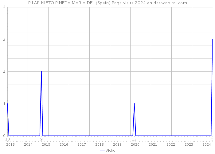 PILAR NIETO PINEDA MARIA DEL (Spain) Page visits 2024 