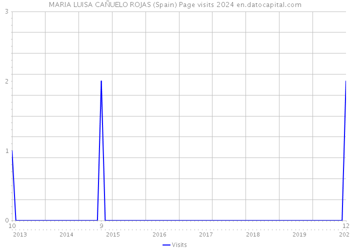 MARIA LUISA CAÑUELO ROJAS (Spain) Page visits 2024 