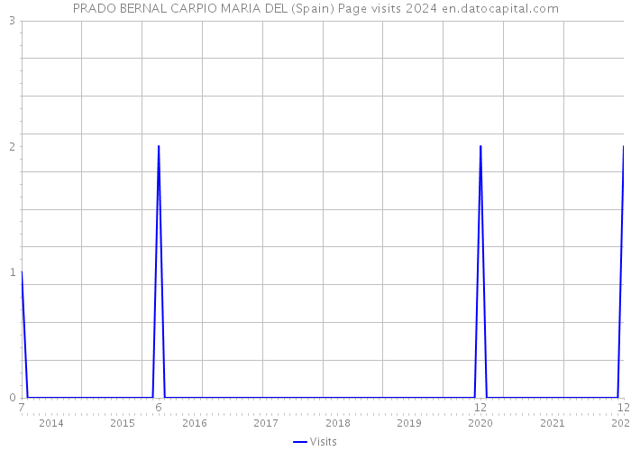 PRADO BERNAL CARPIO MARIA DEL (Spain) Page visits 2024 