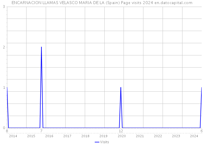 ENCARNACION LLAMAS VELASCO MARIA DE LA (Spain) Page visits 2024 