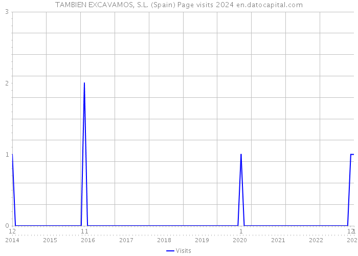 TAMBIEN EXCAVAMOS, S.L. (Spain) Page visits 2024 