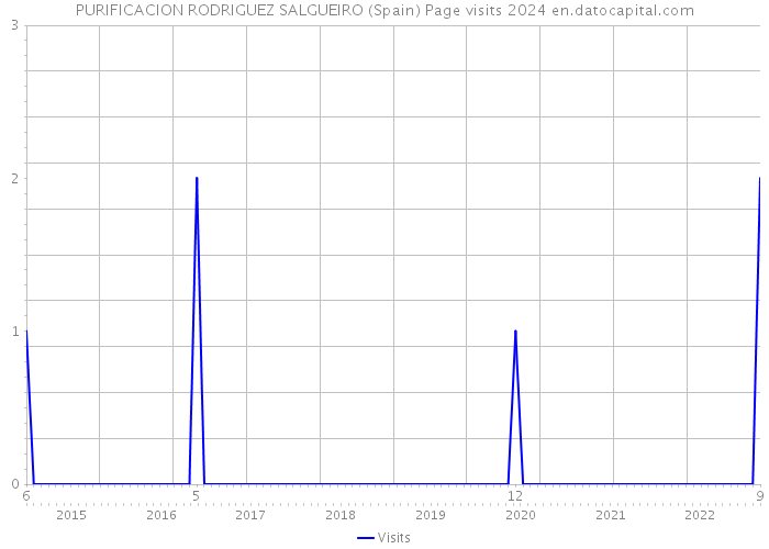 PURIFICACION RODRIGUEZ SALGUEIRO (Spain) Page visits 2024 