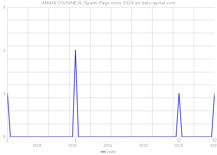 AMANI COUSINE SL (Spain) Page visits 2024 