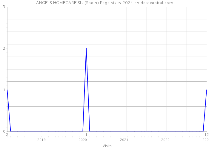 ANGELS HOMECARE SL. (Spain) Page visits 2024 