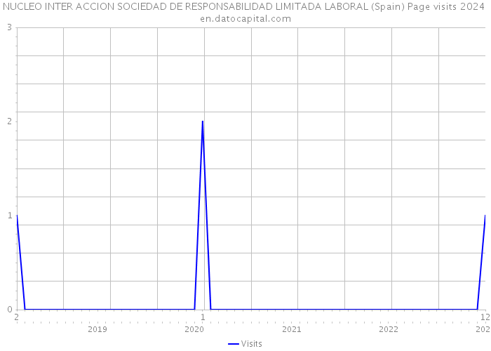 NUCLEO INTER ACCION SOCIEDAD DE RESPONSABILIDAD LIMITADA LABORAL (Spain) Page visits 2024 