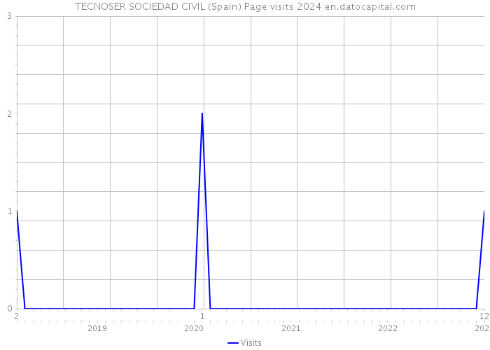 TECNOSER SOCIEDAD CIVIL (Spain) Page visits 2024 