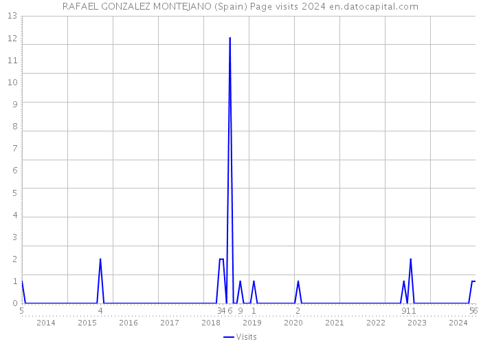 RAFAEL GONZALEZ MONTEJANO (Spain) Page visits 2024 