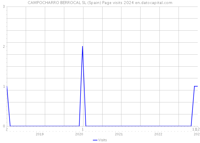 CAMPOCHARRO BERROCAL SL (Spain) Page visits 2024 