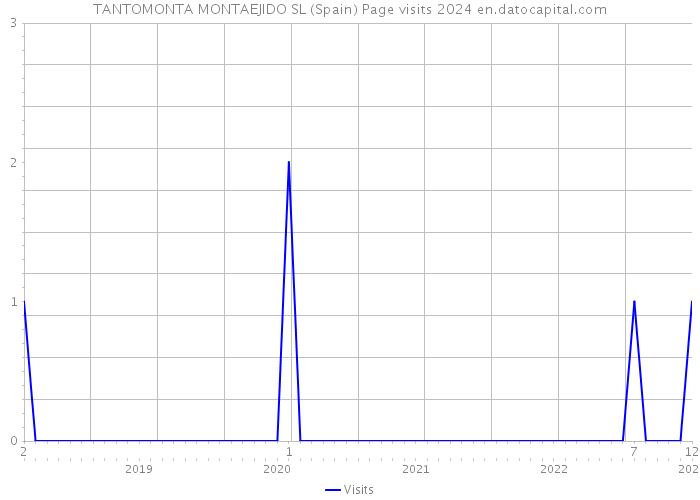TANTOMONTA MONTAEJIDO SL (Spain) Page visits 2024 
