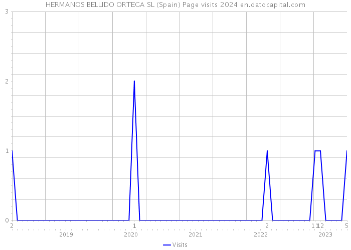 HERMANOS BELLIDO ORTEGA SL (Spain) Page visits 2024 