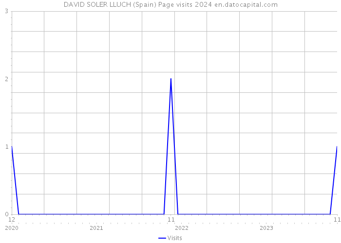 DAVID SOLER LLUCH (Spain) Page visits 2024 