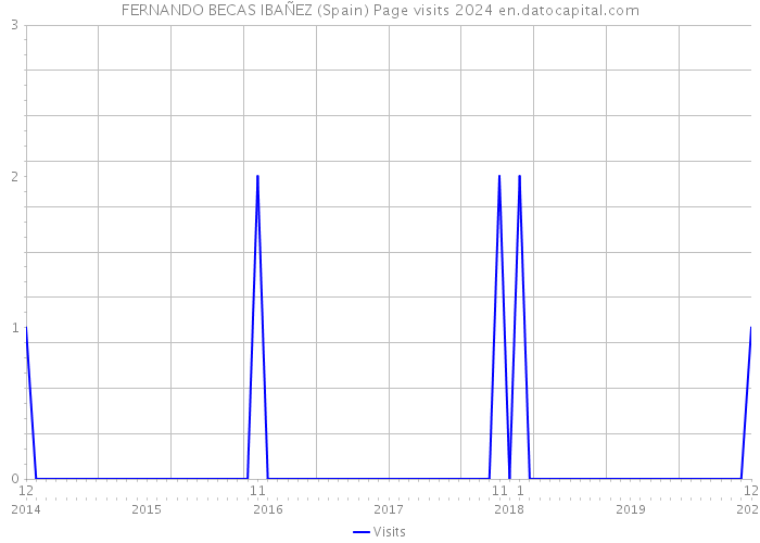 FERNANDO BECAS IBAÑEZ (Spain) Page visits 2024 