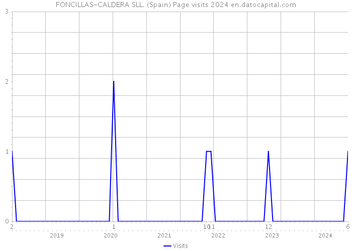 FONCILLAS-CALDERA SLL. (Spain) Page visits 2024 