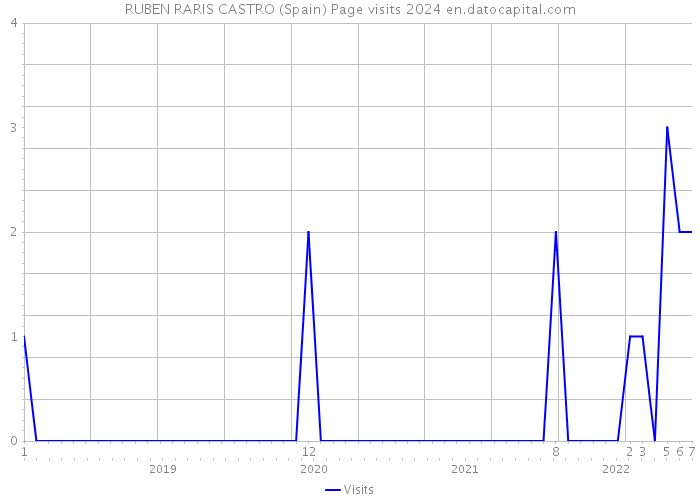 RUBEN RARIS CASTRO (Spain) Page visits 2024 