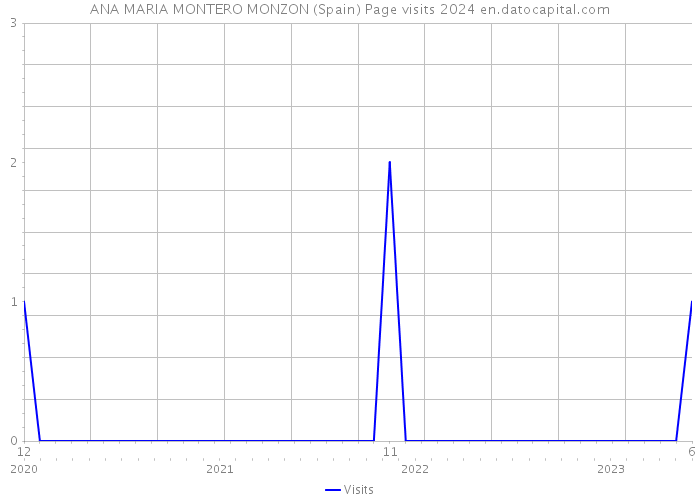ANA MARIA MONTERO MONZON (Spain) Page visits 2024 