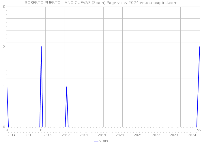 ROBERTO PUERTOLLANO CUEVAS (Spain) Page visits 2024 