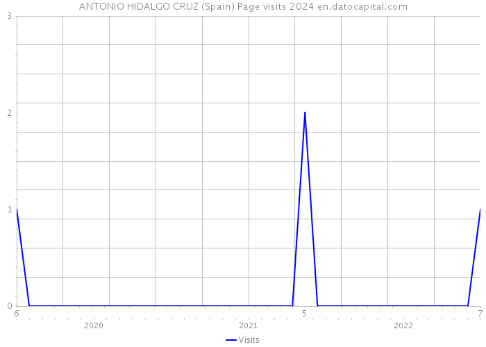 ANTONIO HIDALGO CRUZ (Spain) Page visits 2024 