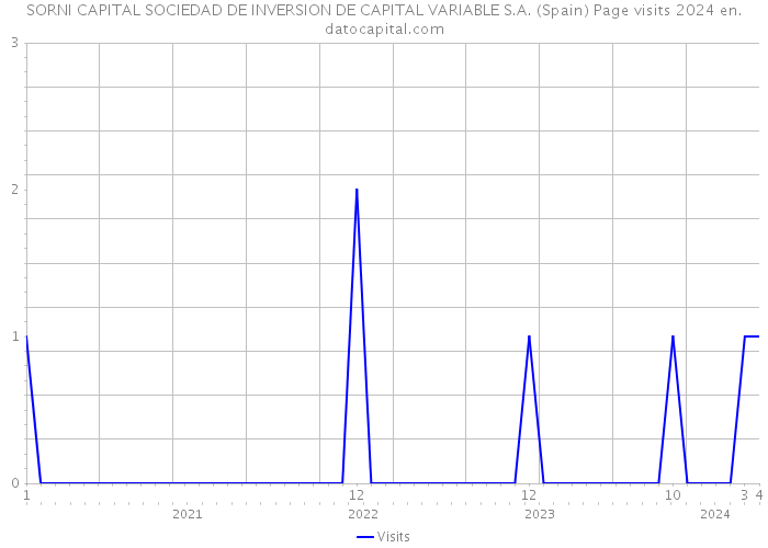 SORNI CAPITAL SOCIEDAD DE INVERSION DE CAPITAL VARIABLE S.A. (Spain) Page visits 2024 