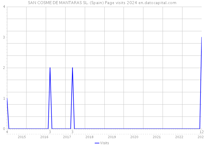 SAN COSME DE MANTARAS SL. (Spain) Page visits 2024 