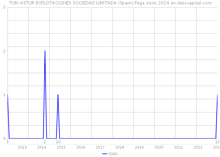 TURI ASTUR EXPLOTACIONES SOCIEDAD LIMITADA (Spain) Page visits 2024 