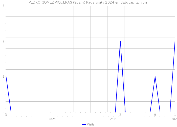 PEDRO GOMEZ PIQUERAS (Spain) Page visits 2024 