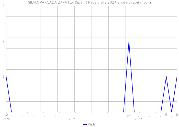 SILVIA PARGADA ZAPATER (Spain) Page visits 2024 