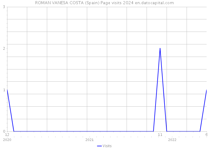 ROMAN VANESA COSTA (Spain) Page visits 2024 