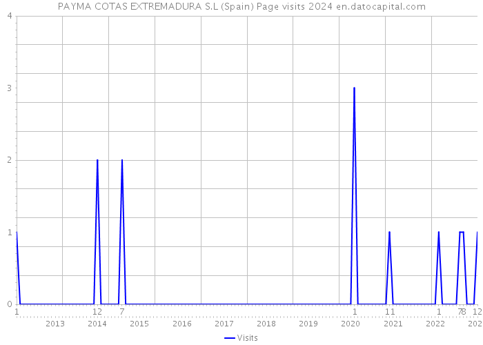 PAYMA COTAS EXTREMADURA S.L (Spain) Page visits 2024 