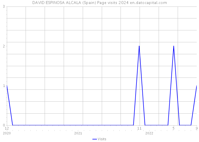 DAVID ESPINOSA ALCALA (Spain) Page visits 2024 