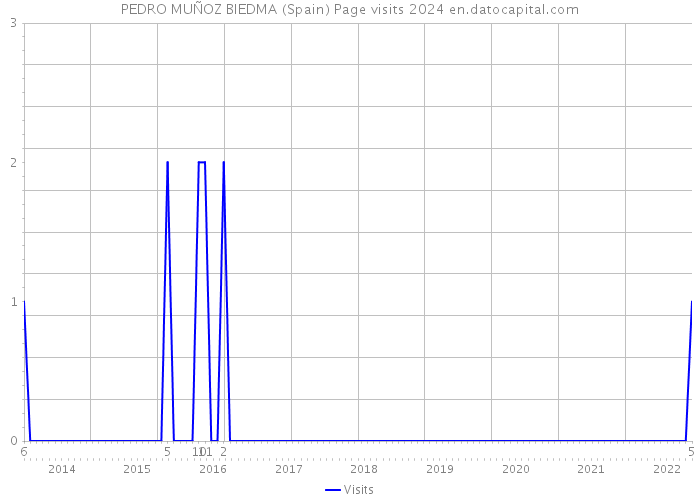 PEDRO MUÑOZ BIEDMA (Spain) Page visits 2024 
