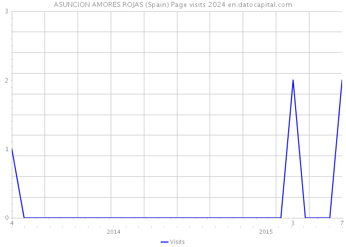 ASUNCION AMORES ROJAS (Spain) Page visits 2024 