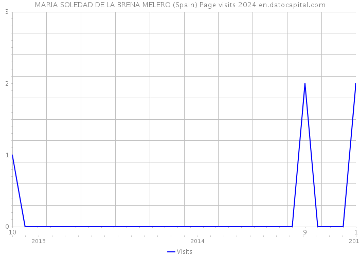 MARIA SOLEDAD DE LA BRENA MELERO (Spain) Page visits 2024 