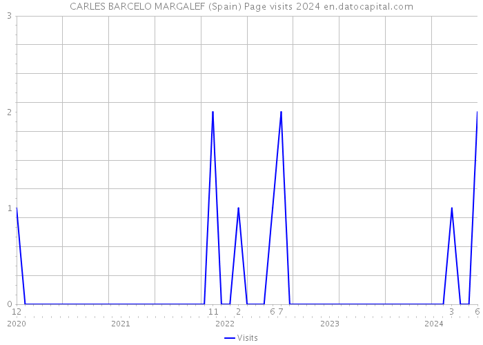 CARLES BARCELO MARGALEF (Spain) Page visits 2024 