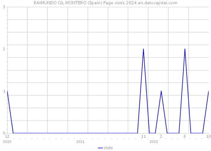RAIMUNDO GIL MONTERO (Spain) Page visits 2024 
