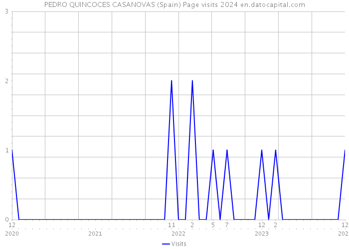 PEDRO QUINCOCES CASANOVAS (Spain) Page visits 2024 