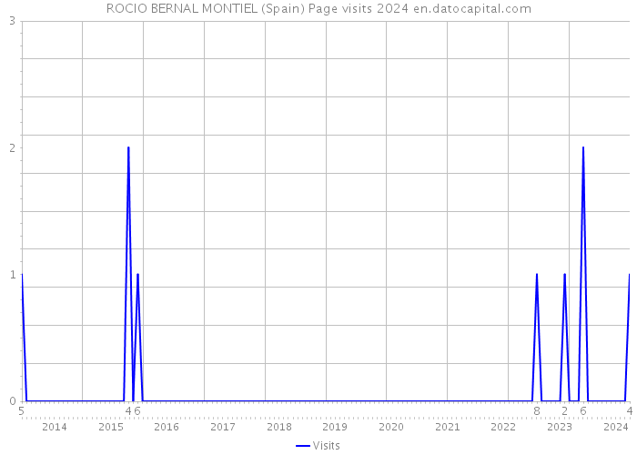 ROCIO BERNAL MONTIEL (Spain) Page visits 2024 