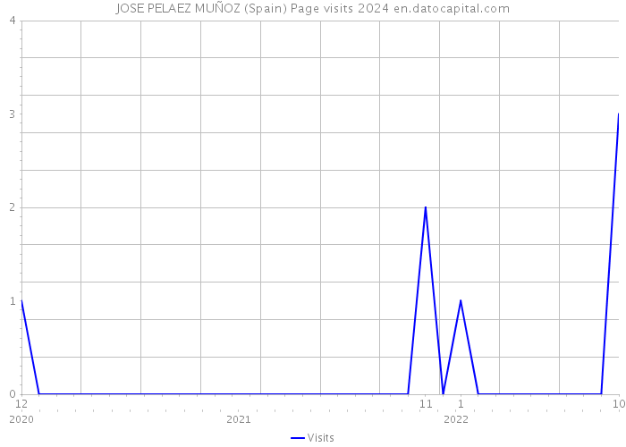 JOSE PELAEZ MUÑOZ (Spain) Page visits 2024 