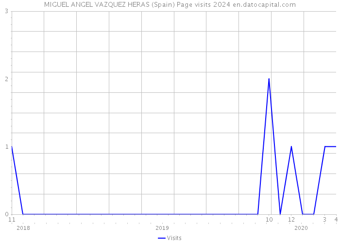 MIGUEL ANGEL VAZQUEZ HERAS (Spain) Page visits 2024 