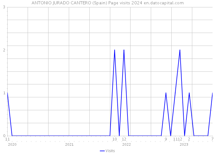 ANTONIO JURADO CANTERO (Spain) Page visits 2024 