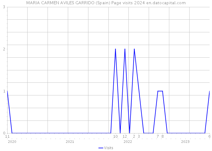 MARIA CARMEN AVILES GARRIDO (Spain) Page visits 2024 