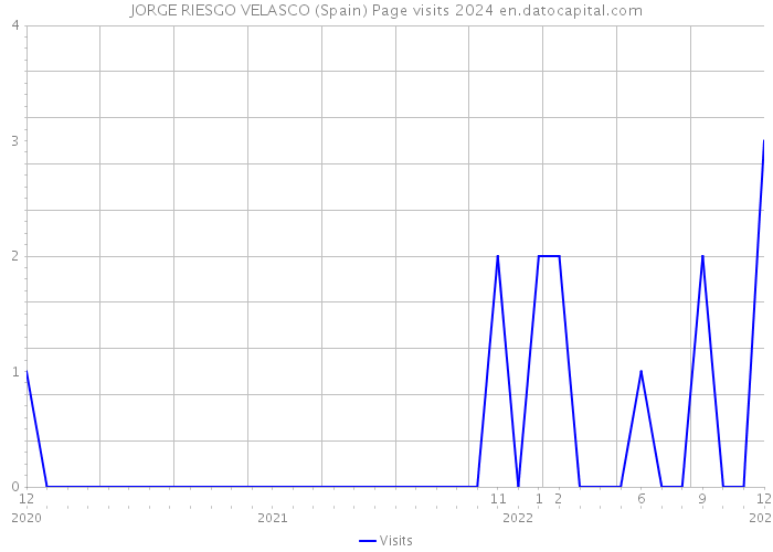 JORGE RIESGO VELASCO (Spain) Page visits 2024 