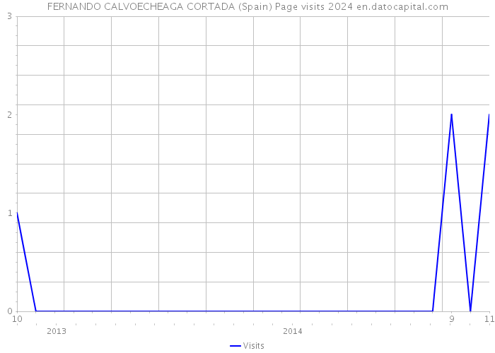 FERNANDO CALVOECHEAGA CORTADA (Spain) Page visits 2024 