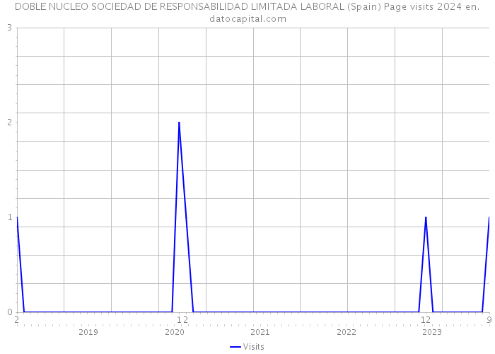 DOBLE NUCLEO SOCIEDAD DE RESPONSABILIDAD LIMITADA LABORAL (Spain) Page visits 2024 