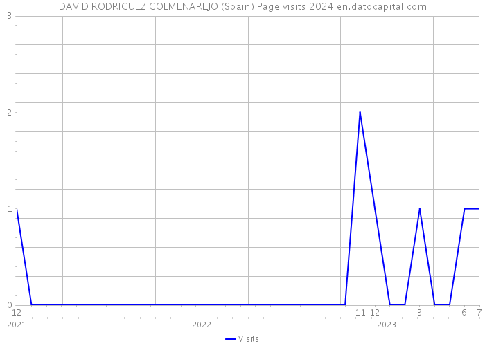DAVID RODRIGUEZ COLMENAREJO (Spain) Page visits 2024 