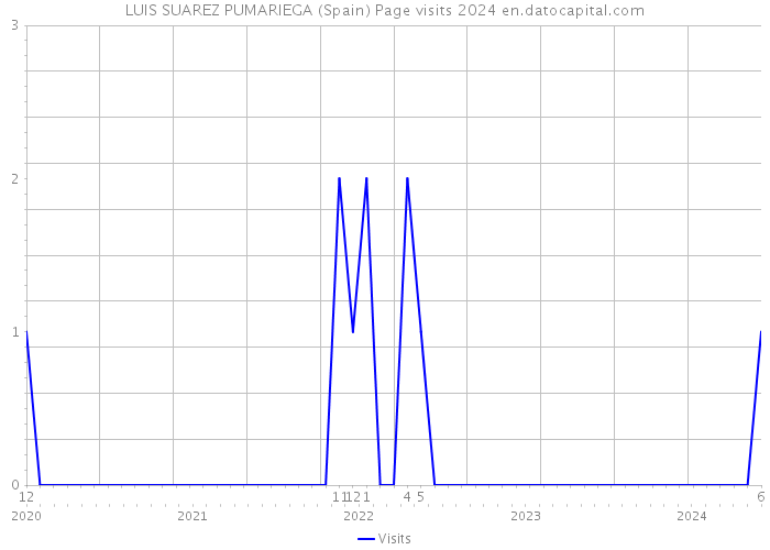 LUIS SUAREZ PUMARIEGA (Spain) Page visits 2024 