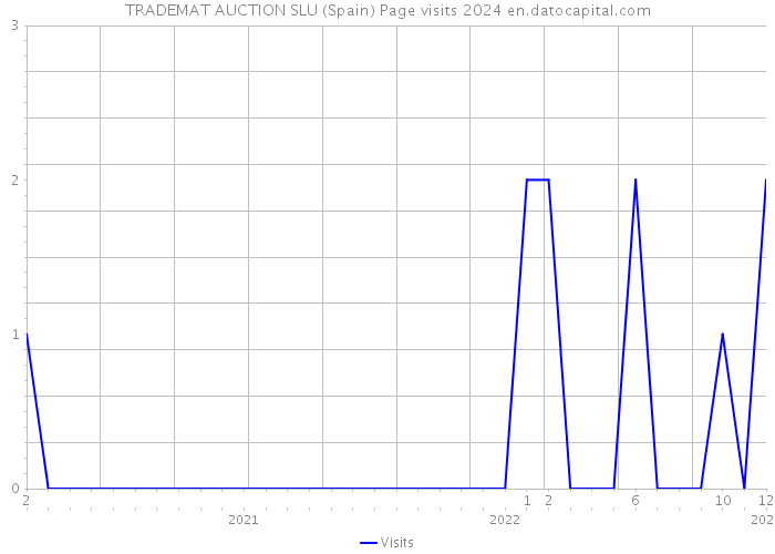 TRADEMAT AUCTION SLU (Spain) Page visits 2024 