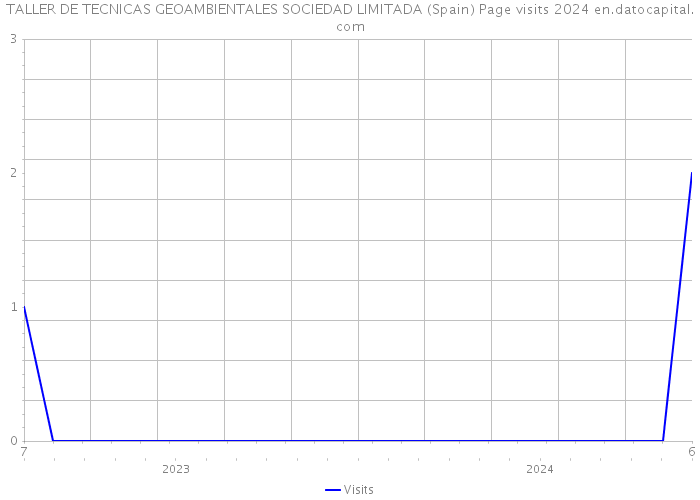 TALLER DE TECNICAS GEOAMBIENTALES SOCIEDAD LIMITADA (Spain) Page visits 2024 