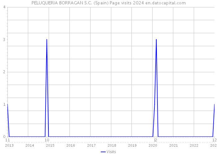 PELUQUERIA BORRAGAN S.C. (Spain) Page visits 2024 
