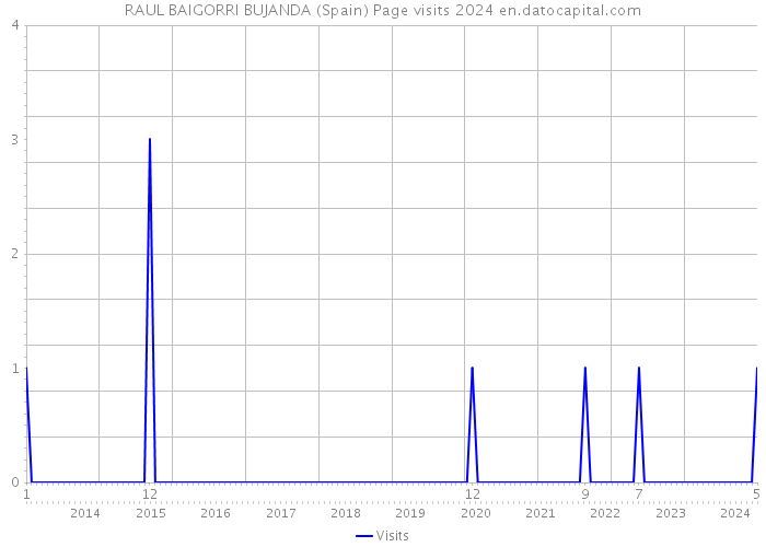RAUL BAIGORRI BUJANDA (Spain) Page visits 2024 